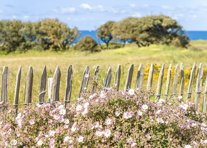 公寓式酒店 Lagrange L'estran 莱萨布勒-多洛讷